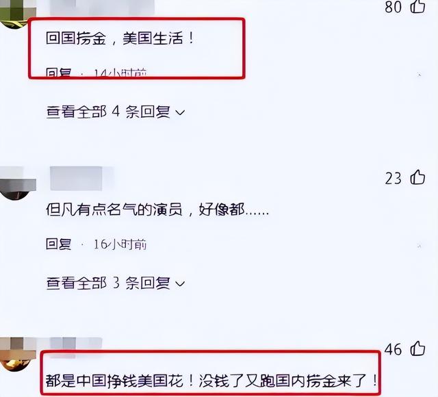 吃里扒外！定居美国13年，回国捞金惨遭“驱逐”，52岁活成了笑话