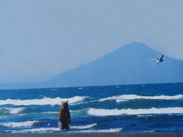 俄罗斯免签，即刻生效！最全攻略来了！