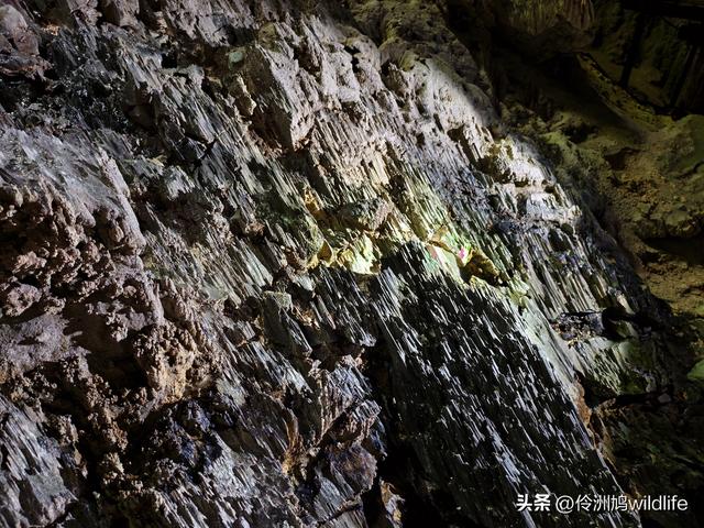 马来西亚(29)砂拉越州③姆鲁山清水洞·风洞