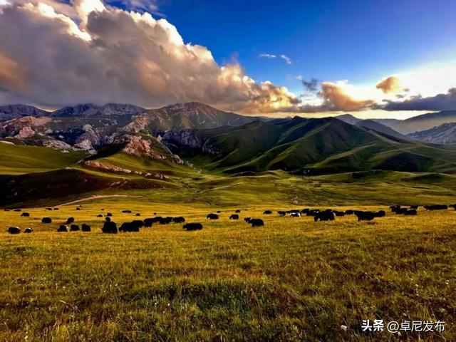 尼巴秋韵