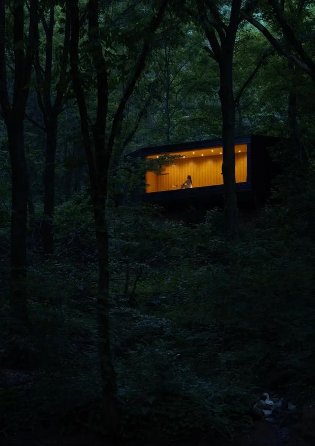 🤩收藏!春节拍大片,就来黄陂『下集』