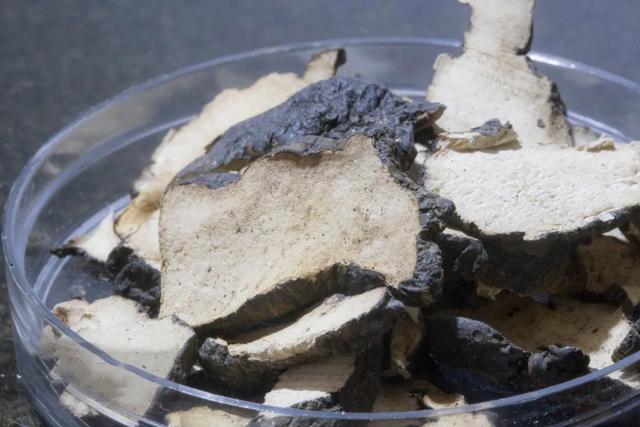 世界自然遗产、物种基因库、北纬31°绿色奇迹——神农架旅游攻略