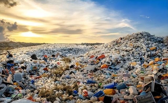 多国损失高达百亿，联合要求中国废除禁令，温铁军：轮不到你发言