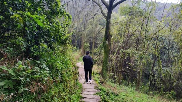重庆南山有一座荒废庄院，曾是停放棺材的地方，胆小的人不敢靠近