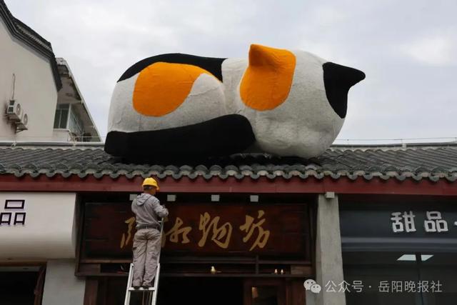 白天晚上“两副面孔”？岳阳这条街，逛100次都不够！