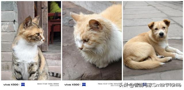 避开秋假人群，用vivo X300记录川西的小众美景