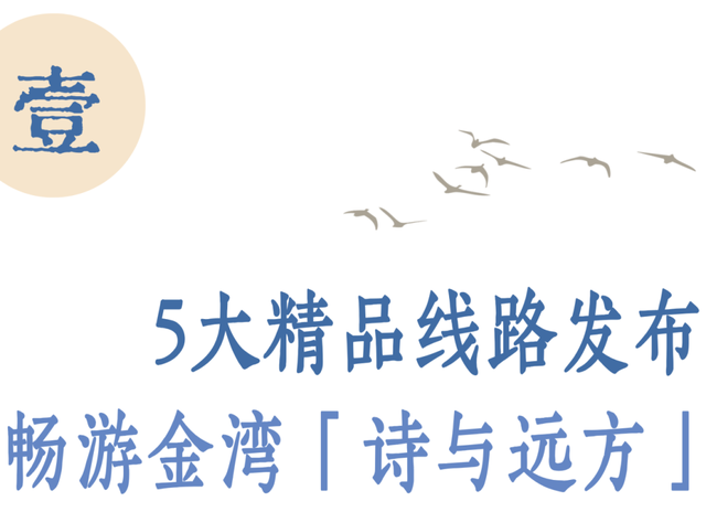 新线路！金湾重磅发布