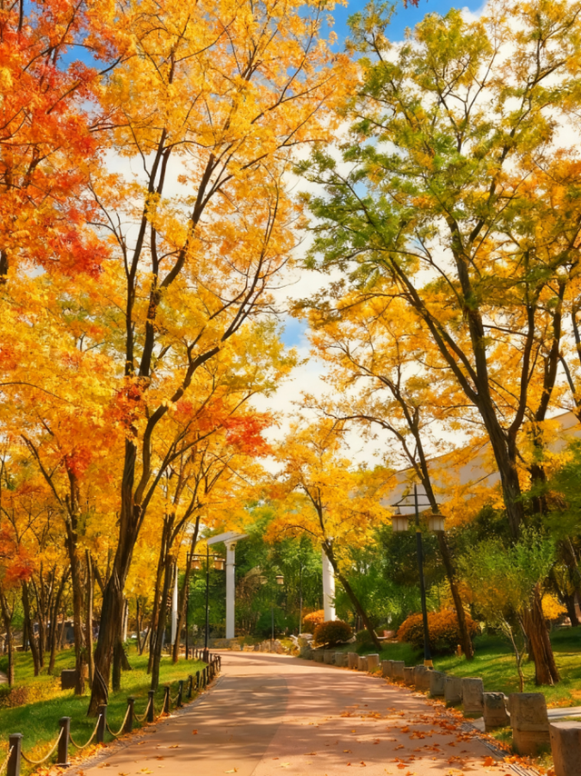 灞桥折柳、曲江流饮，这些路名藏着唐诗密码……