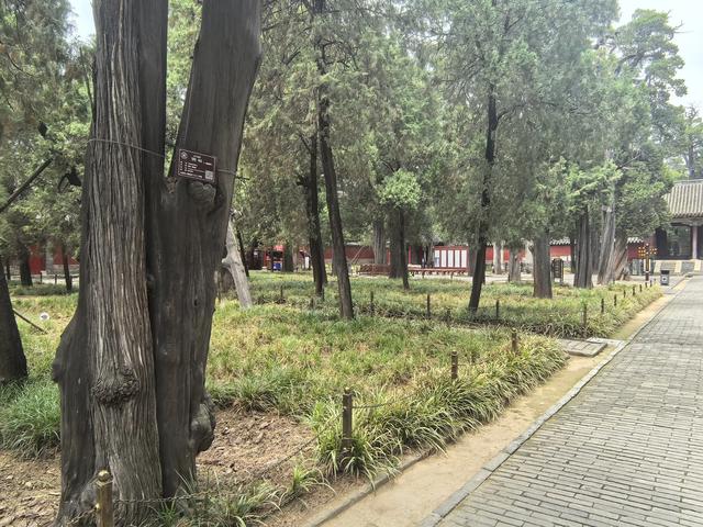 山东邹城游记