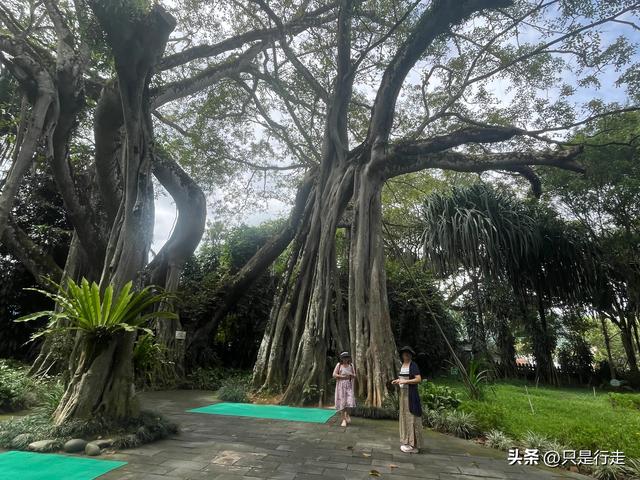 云南弥勒避暑旅游生活记录（三）瑞丽