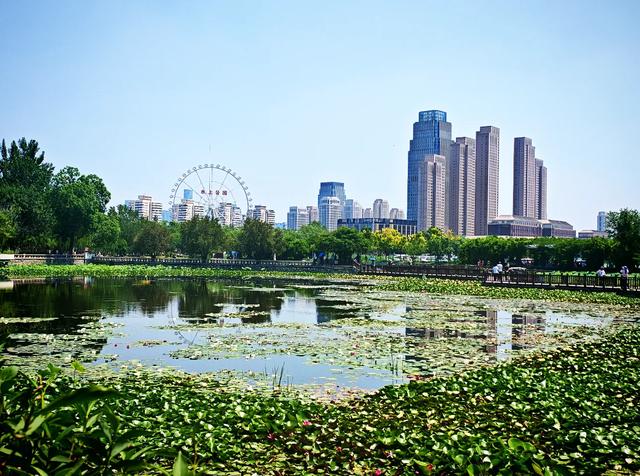 天津人厉害了！比“纽约中央公园”更好的公园，在天津出现了！