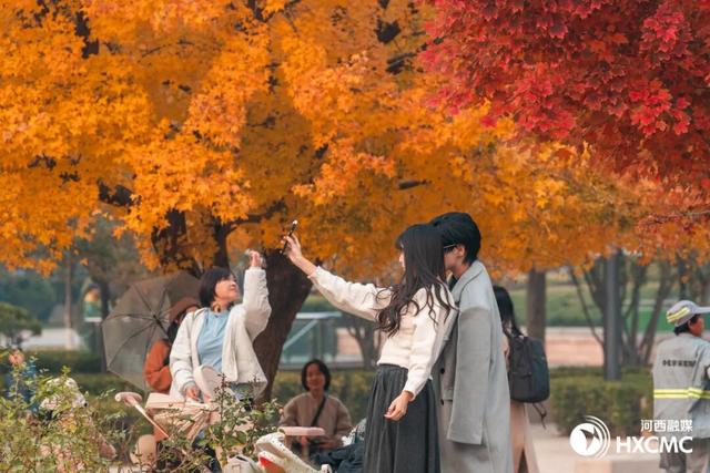 秋洒落的地方 藏着温柔与力量