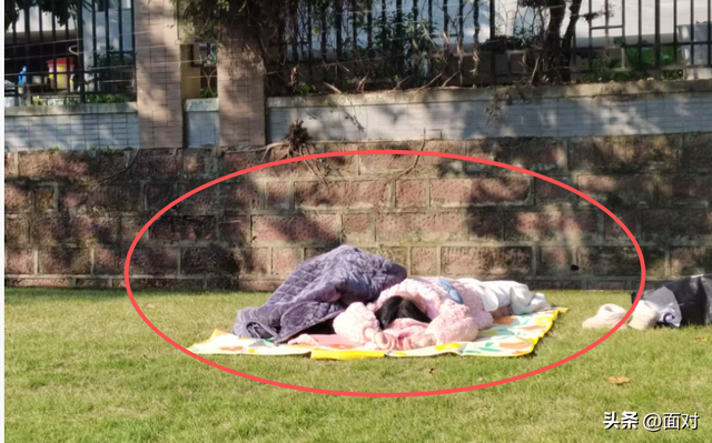 🌞广汉金雁湖公园：冬日里的“阳光能量站”