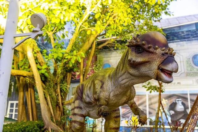 海南自贸港封关将迎“满月”，文旅产业有何利好？