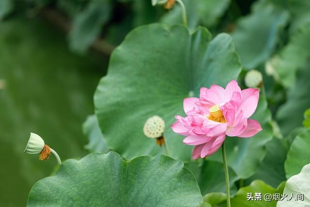 两性关系：“泡”一个中年女人，你越“直白	”，她越容易动情