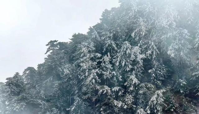 华山下雪了，你期待的第一场雪来啦！