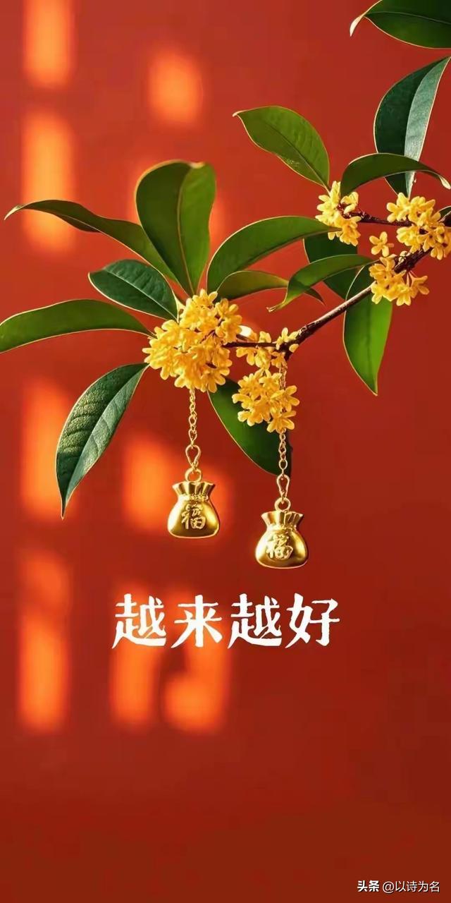 以诗为名：很多时候我都想