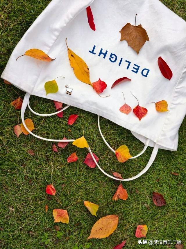 地铁+徒步，秋天的马鞍山公园，太好逛了！