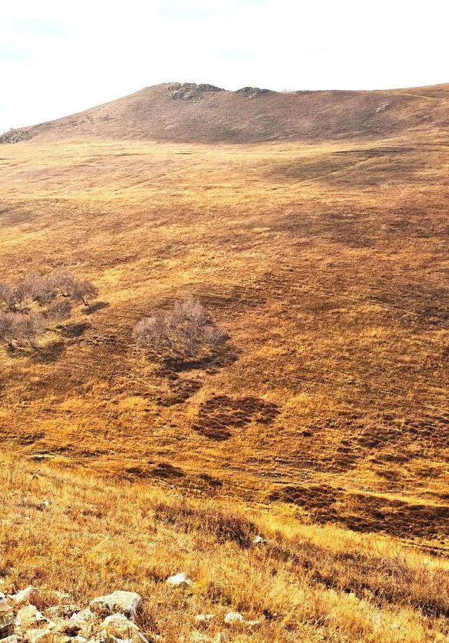 进度已达90%！呼和浩特进入全盛期！最近每天都不一样，呼市人抓紧出门