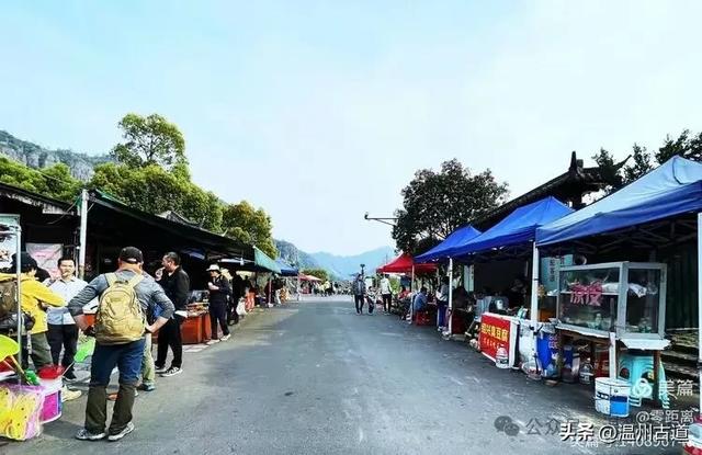 藏于浙江5A景区内有一处“十里铁甲龙”,洞穴众多形态奇特