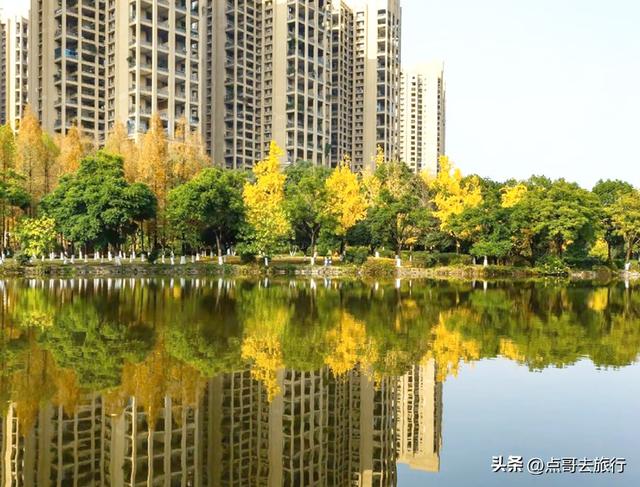 成都超级低调奢华的公园，色彩斑斓，被严重低估，公交车直达！