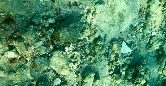 高市早苗对华正式“宣战	”！马克龙转头背叛日本，特朗普告示全球