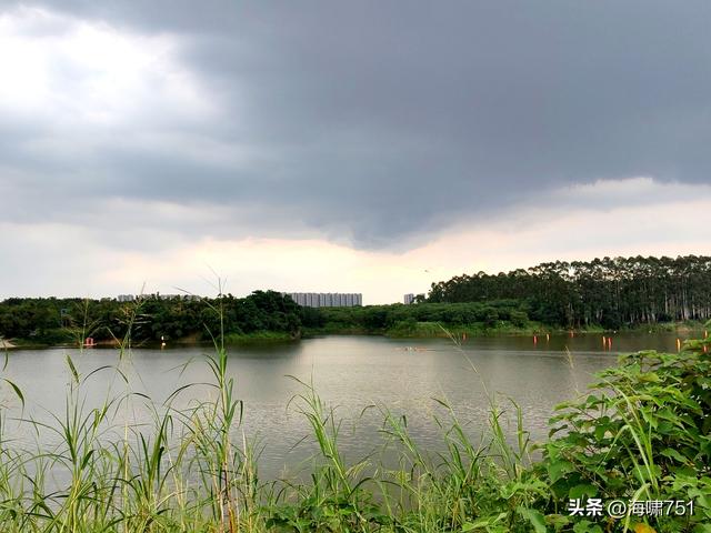 南海金沙岛国家湿地公园