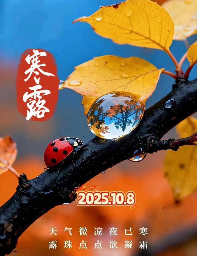 今日寒露，好运到，祝福到！