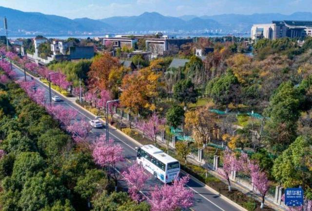 云南唯一的“特大城市”，面积比北京、成都大，人口超过800万