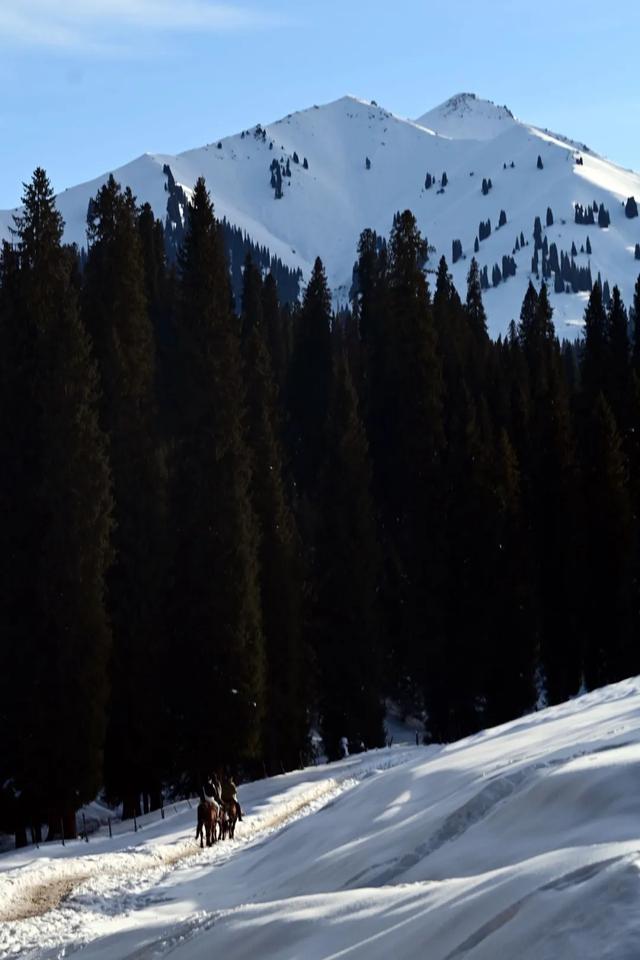 如要选一个冬季最佳拍雪景的地方,首选一定是它