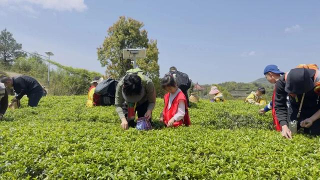 山海避暑“专列”启程！这里藏着夏天最舒服的打开方式→