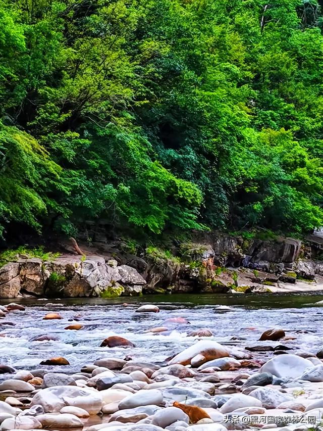 绿野仙踪+山水秘境！快来黑河抓住夏天的尾巴，奔赴一场绿意清凉之约