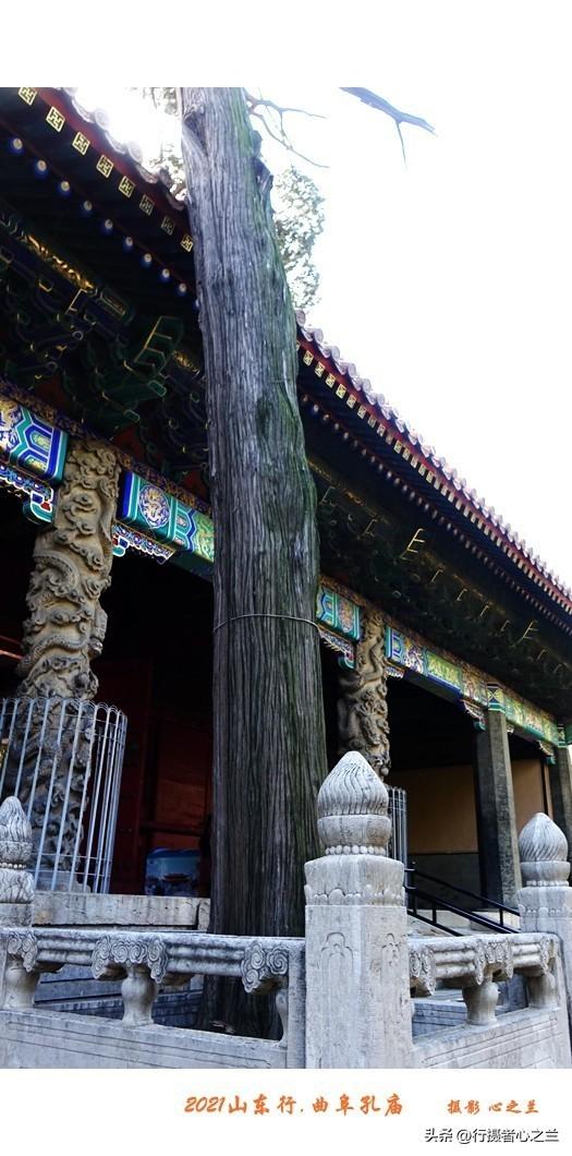山东行游影记（214）—曲阜孔庙（九）