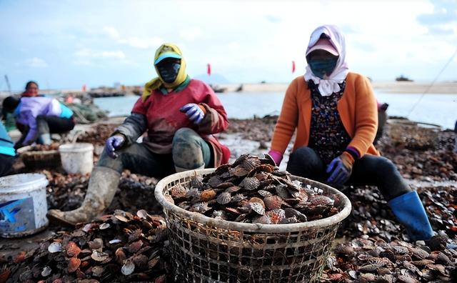 全球190多国已收到中国的通知，高市早苗急了，给了中国两个选择