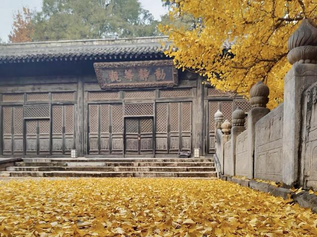 博物FUN | 大觉寺：千年古刹的禅意与新生