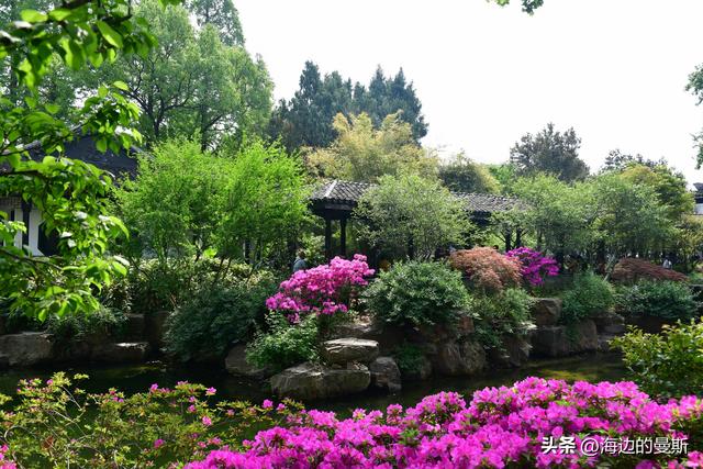 常州｜严重低估的小众一日游，照着走就对了