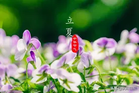 沈阳立夏未入夏 昼夜温差大 晴雨交替频繁图片