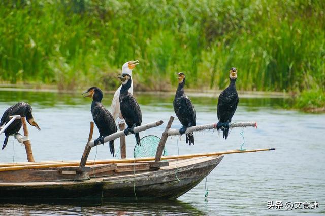 北京人涌入保定后懵了：京南有保定，接住一颗晃晃悠悠的心