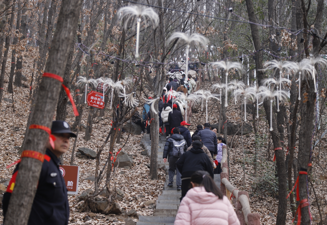 2026年南阳市新年登高活动在独山森林公园举行