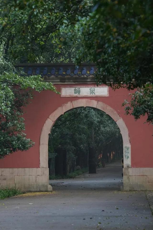 适马28-105mm F2.8 DG DN | Art这颗镜头怎么样