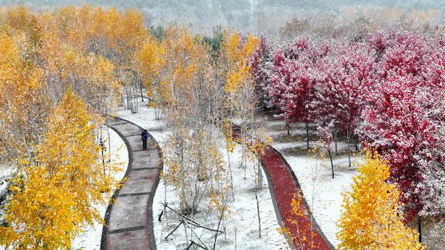 黑龙江绥化:初雪染城 五色交织引市民打卡赏景