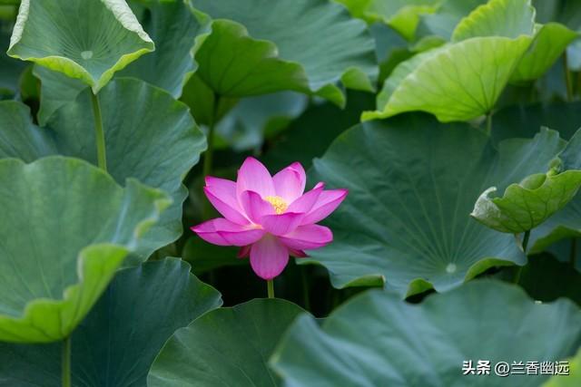 两性关系：为什么65岁后，女人比男人更希望这些，你真的懂吗