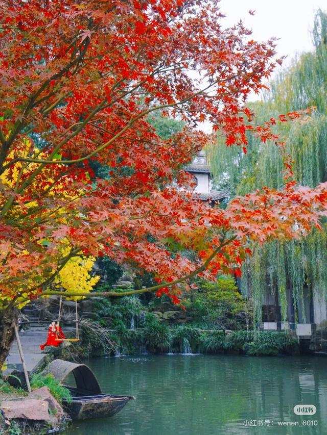 地铁直达！免费！成都20个绝美赏秋地，银杏水杉梧桐红枫限时上演！就在家门口！