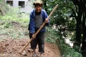 农民那么有钱，为什么六七十岁还要干活？图片