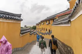 普陀山之观音住所紫竹林图片
