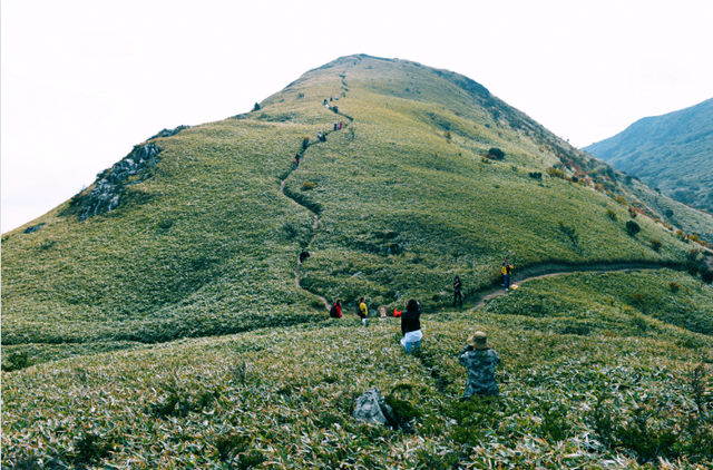 年度压轴流星雨即将来临，来月坝追星！