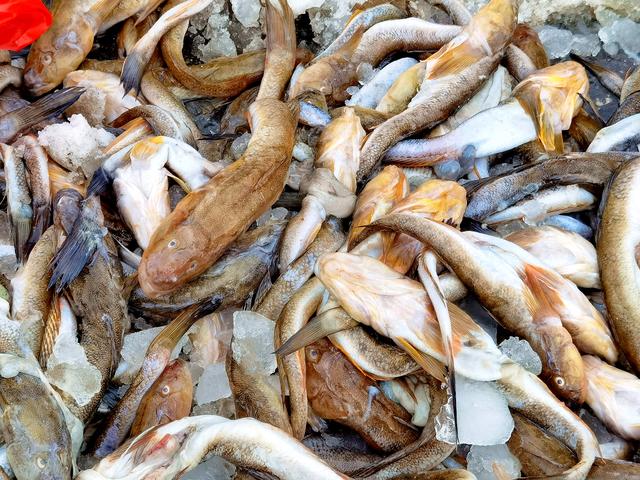 这6种鱼千万别错过，无法人工养殖，全是野生的，营养很高还便宜