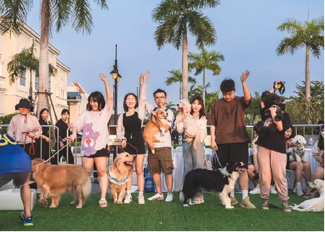 闭眼冲！11月光明公园这样玩！