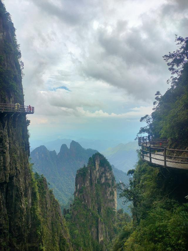湘粤赣之旅（三）：莽山记