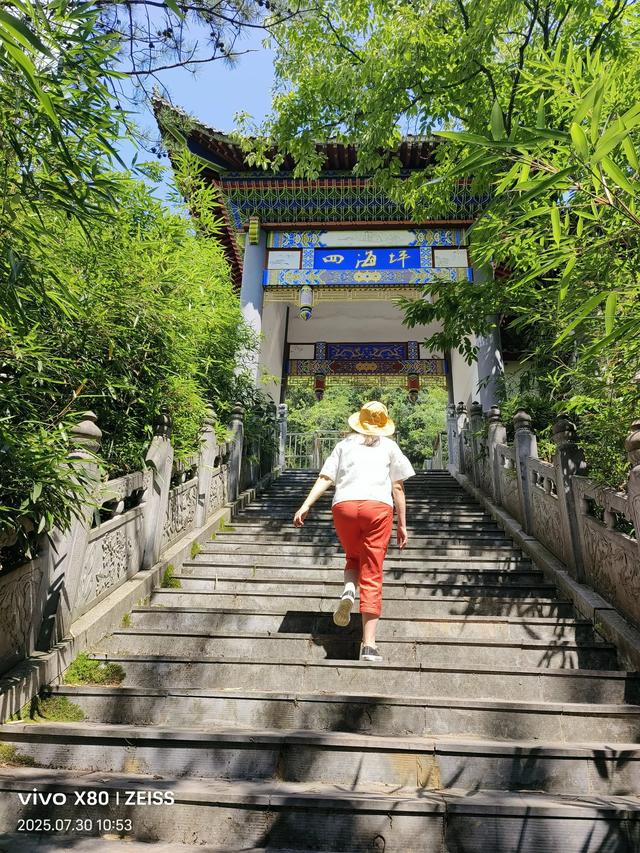 林壑听涛逢旧雨 溪声松语话流年